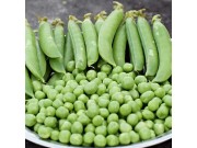 Unwins Early Onward Peas
